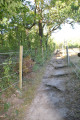 Descente