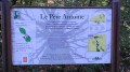 Descriptif du hêtre Rudi