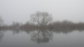 Die Elbe im Spätherbst