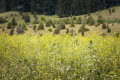 HOCHGEHBERGE-Tour »hochgehschätzt« - Premiumwanderweg Hayingen-Glastal