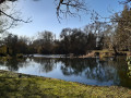 Digue sur la Charente à Chalonne