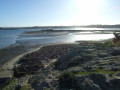 Plage et Îlot de Sainte-Anne à Saint-Pol-de-Léon