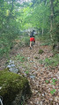 Direction la falaise, dré dans le pentu