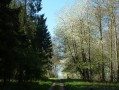 Direction panorama