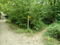 Direction