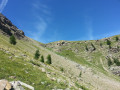 Distroit