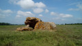 Dolmen de Briande II