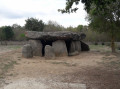 À la rencontre de menhirs et dolmens entre Avrillé et Le Bernard