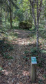 Dolmen de Pierre Aigu&euml;