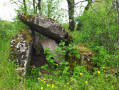 Dolmen de Puech Ibilié