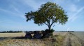 Dolmen de Vaon