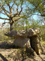 Dolmen du cap del Pouech Dolmen du cap del Pouech