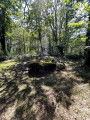Dolmen du chêne