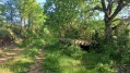 Dolmen du Puech