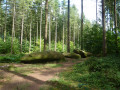 Dolmen effondré
