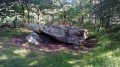 Le Dolmen de la Pierre Ardoue