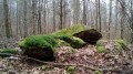 Dolmen