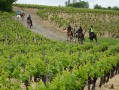 Domaine de La Jousselinière
