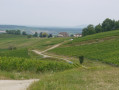 Domaine de la Pinte