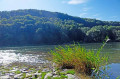 Donau kurz vor der Weltenburger Enge