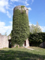 Donjon de Sausenburg