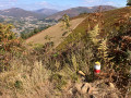 L'Oilarandoi en boucle depuis Saint-Étienne-de-Baïgorry