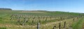 Douce campagne tarnaise Douce campagne tarnaise