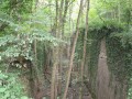 Nature et patrimoine autour du Mont Saint-Quentin