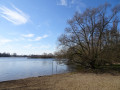 Grüner Ring: Veddel bis Mittlerer Landweg