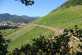 Drachenfels