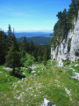 Draye des Bergers