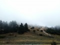 Drôle d'ambiance au sommet, et dommage pour le panorama! Drôle d'ambiance au sommet, et dommage pour le panorama!