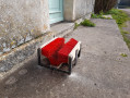 drole de herisson