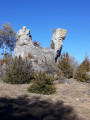 Dromadaire Dromadaire