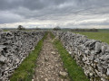 Dry stone wall lined path