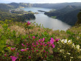 Sete Cidades vers le mirador du roi