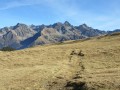 Du côté du Pic de la Belle Etoile