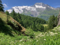 Le Monal par Chenal d'en bas