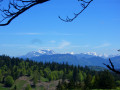 Du sommet 1494m