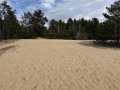 Dune de sable en pleine pin&egrave;de