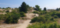 Le sentier des dunes de Cucq