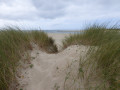 Dunes de Lindbergh - Havre de Portbail Dunes de Lindbergh - Havre de Portbail