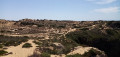 Dunes en bord de falaise