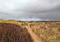 Dunes Path