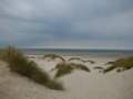 Dunes Dunes