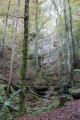 Durch den Wald zur Falkensteiner Höhle