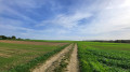 Durch die Felder hinter Patersberg