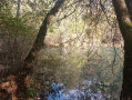 Le sentier de la Reigne avec retour par la Voie Verte Le sentier de la Reigne avec retour par la Voie Verte