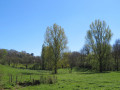 Ecrin bucolique