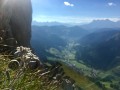 Edelweiss au Mont Chauffé